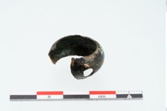 Foto von Bronzehohlblechring (NHMW-PRAE-025220)